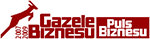 Gazele Biznesu
